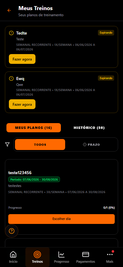 Captura de tela demonstrativa da interface do aluno: Meus Treinos